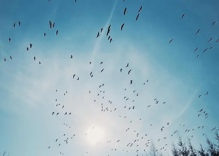 Hazel Hut - Spacious Fenced Yard, Sauna, 2-bedroom *