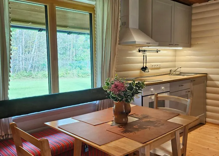 2-bedroom, Fenced Yard, Sauna, 10 Min To Casa vacanze Pärnu