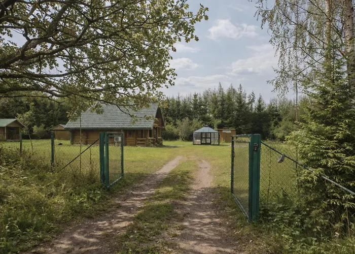 Hazel Hut - Spacious Fenced Yard, Sauna, 2-bedroom Holiday home